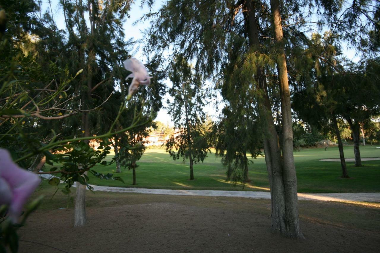 Greenlife Village Marbella Exteriör bild